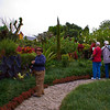 mtns2molhilz > Just to the left of the main entrance was this little garden and walking path- here we found the first tanagers of the trip, Blue-Grey, a bird widely distributed in the American Tropics, but nonetheless a stunner.