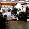 mtns2molhilz > Another view of the entrance to Hotel Bouganvilla, CR.
